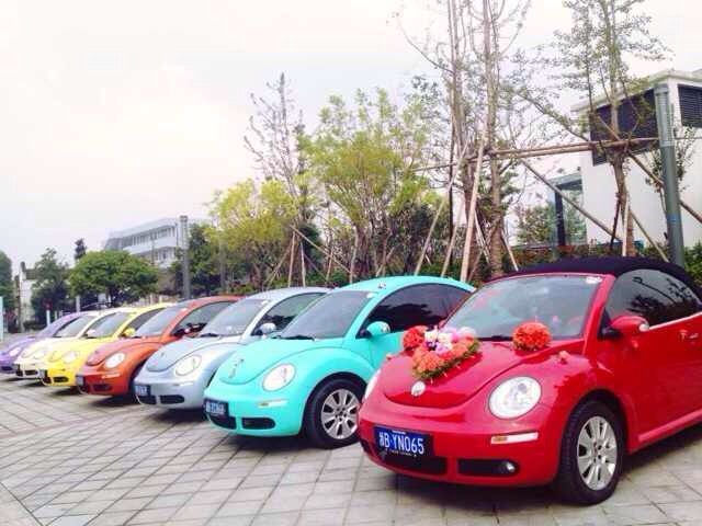 七彩甲殼蟲車隊