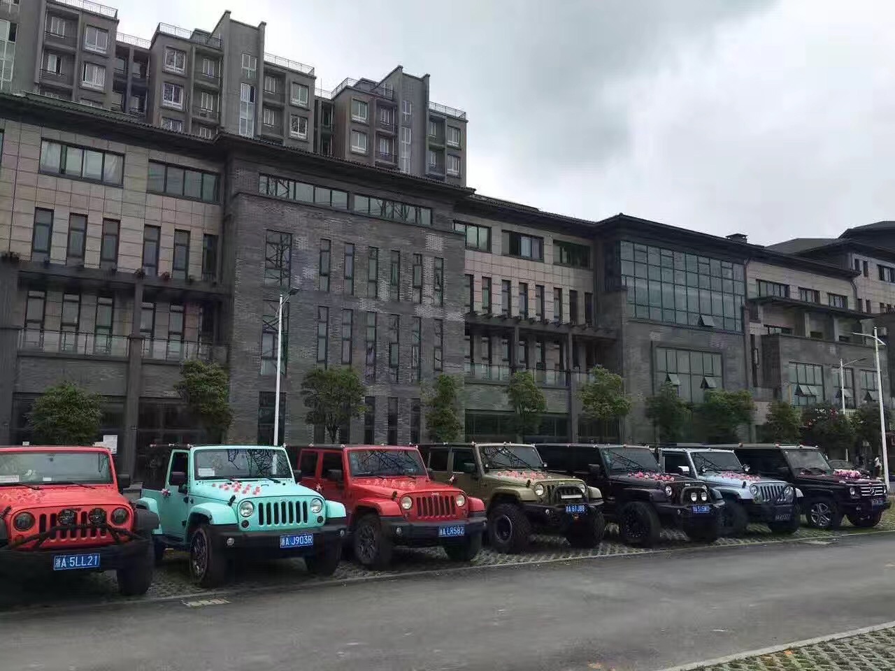 牧馬人車隊(duì)